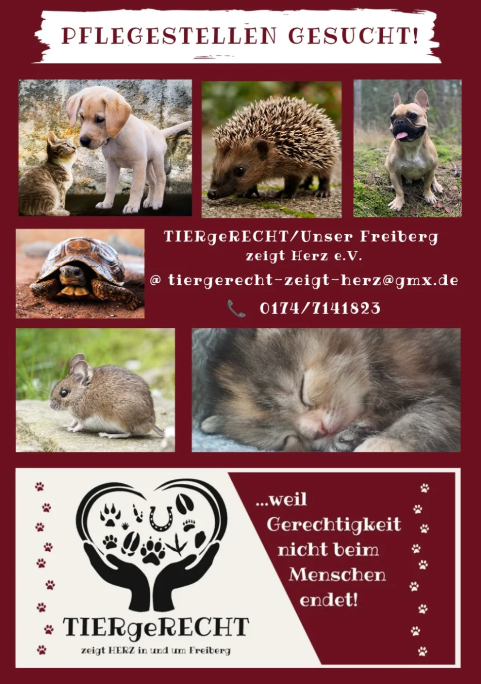 Pflegestellen gesucht